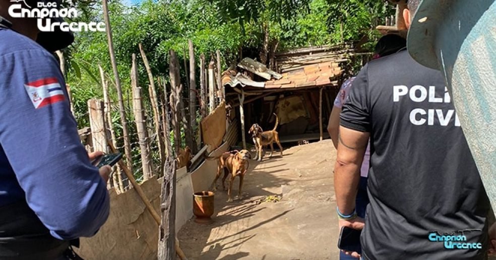 Homem-é-preso-por-maus-tratos-a-animais-e-posse-ilegal-de-arma-de-fogo-em-Piritiba Homem-é-preso-por-maus-tratos-a-animais-e-posse-ilegal-de-arma-de-fogo-em-Piritiba