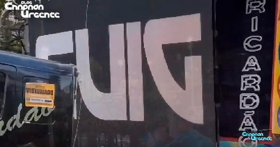 No-Carnaval-de-Salvador-tem-Piritibano-brilhando-na-avenida.-Trio-Ricardão-tá-fazendo-bonito No-Carnaval-de-Salvador-tem-Piritibano-brilhando-na-avenida.-Trio-Ricardão-tá-fazendo-bonito