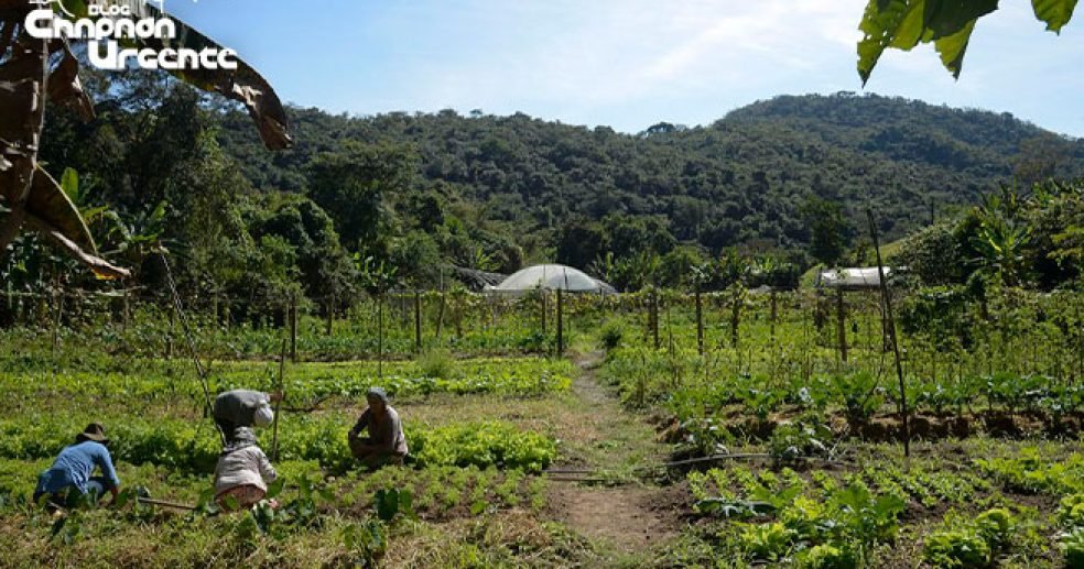 Política_empreendedor
